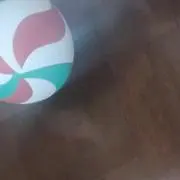 きゅーりの画像