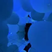 AIUEOの画像