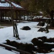 terioの画像