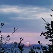 串だんごの画像