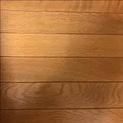夏の画像