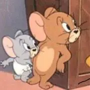 かにゃんの画像