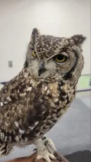 ユウヤの画像