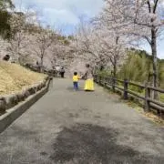 ちも