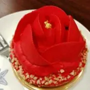椿樹