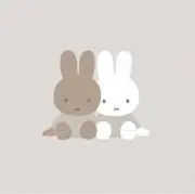 HmRRRRaAの画像