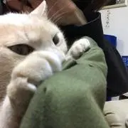 雨月 つかさの画像