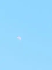 プッキーの画像