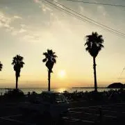 sawaの画像