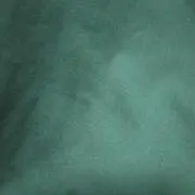 素香の画像