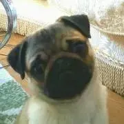 E【おまとめ割引きします☺︎】の画像