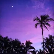 mahalo☆の画像