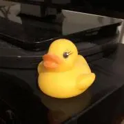 マリマイの画像