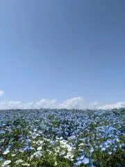 tsuki