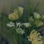 想の画像