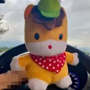 13579の画像
