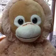 サンタ