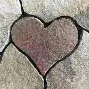 Akoの画像