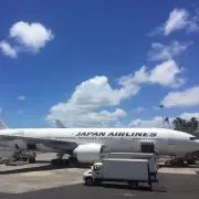 ヤッキの画像