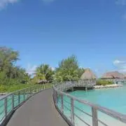 umiumiの画像