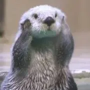 Marieの画像