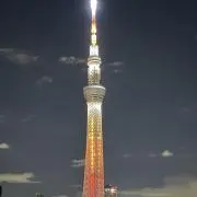 ちびの画像