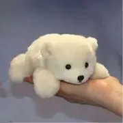 R☆即日発送の画像