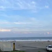 ミミミ
