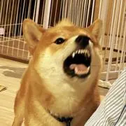 シン