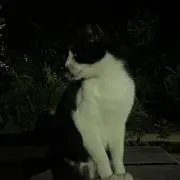 山下の画像