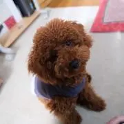 春夏秋冬