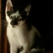 ジュン