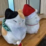 猫丸