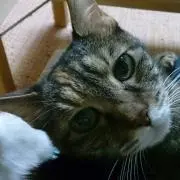 プロフィール必読★にーあ★