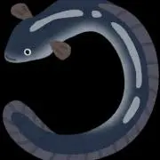 うなぎの画像