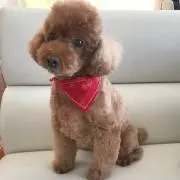 うるるの画像