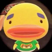 タロウの画像