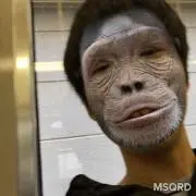 やーや