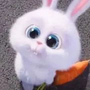 あぴやっぴの画像