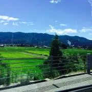 プロフご確認下さいの画像