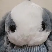 ゴン太高足