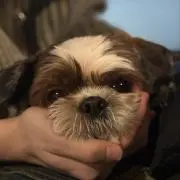 Dの画像