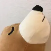 ゆぃ