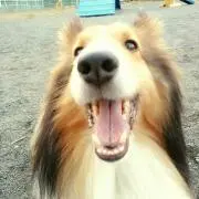ゆき丸の画像
