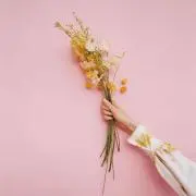 Hearts2Hearts ハトゥハ フーディー HOODIE FOCUS md - メルカリ