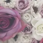 risa..の画像