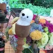 めぐりの画像