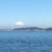 ぽん太君【値下交渉大歓迎】の画像