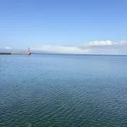 エックスの画像