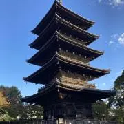 たまちゃんの画像